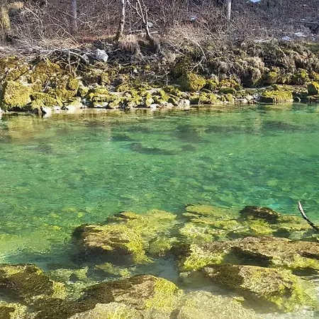 Ingreen House شقة *