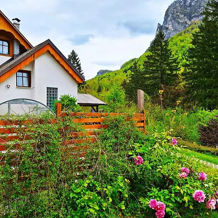 Ingreen House Διαμέρισμα