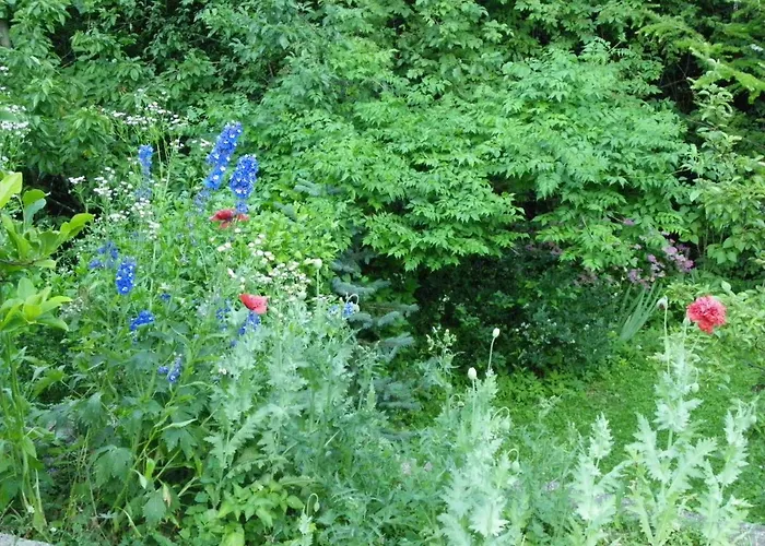 Lejlighed Ingreen House