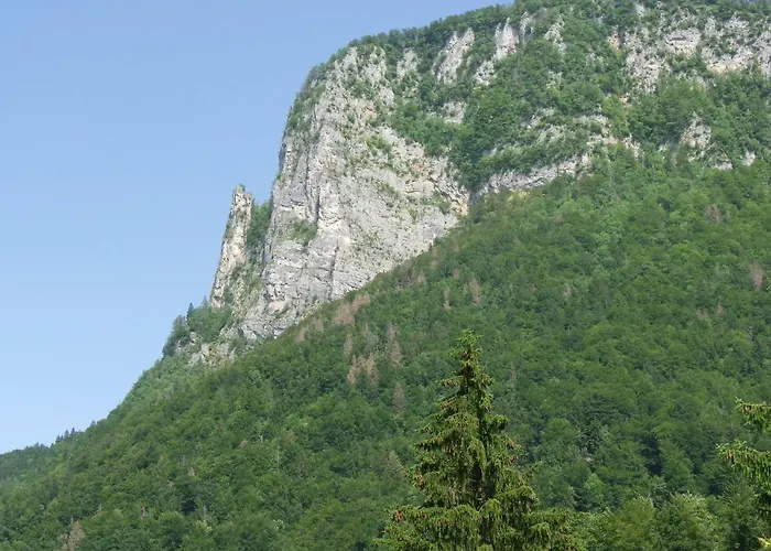 Ingreen House Bohinjska Bela